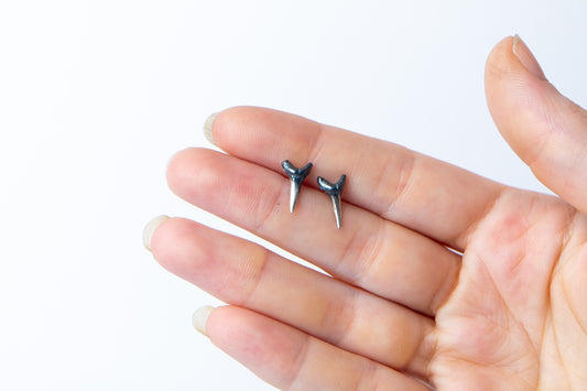 Small Silver Shark Tooth Studs