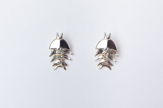 Silver Bright Trilobite Earrings