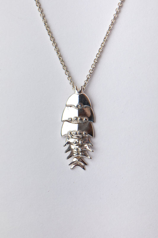Silver Bright Trilobite Pendant