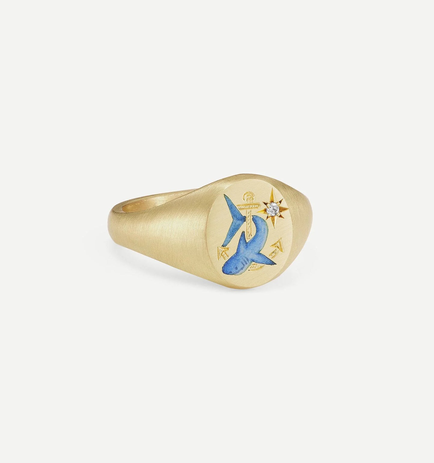 Shark and Anchor Ring