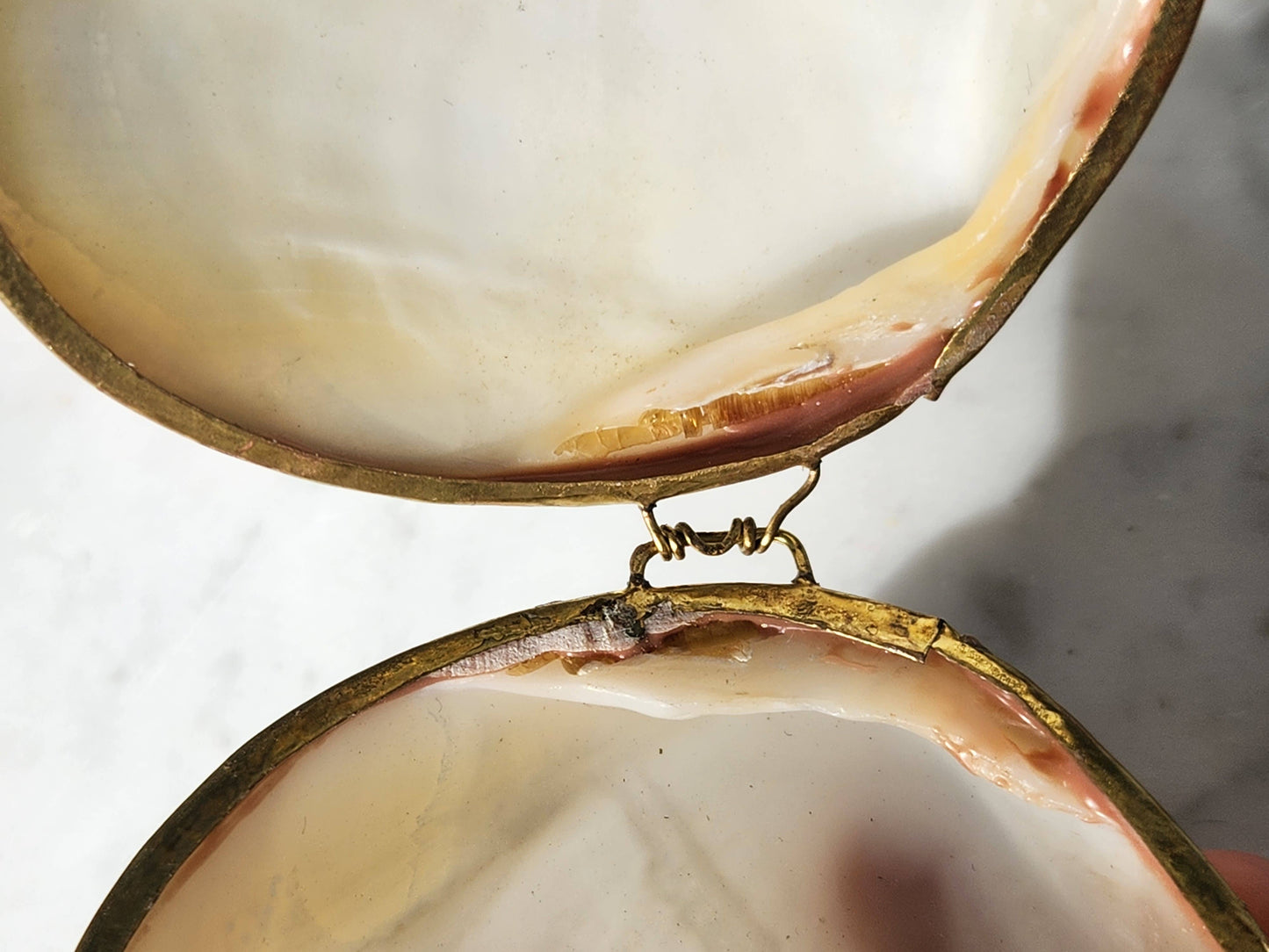 Mini Clam Trinket Box