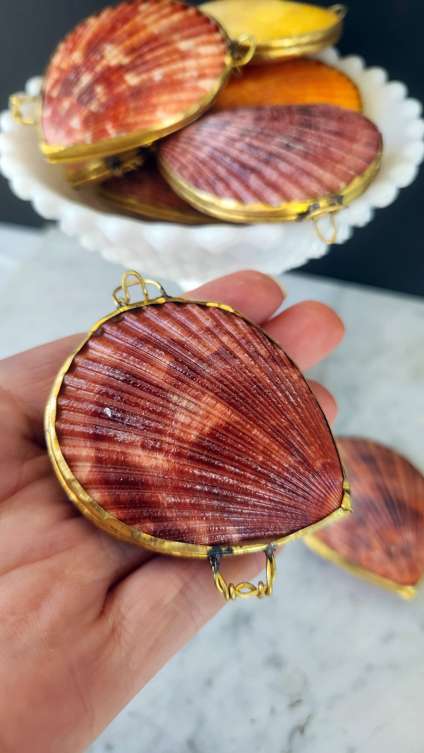 Noble Pectin Trinket Box