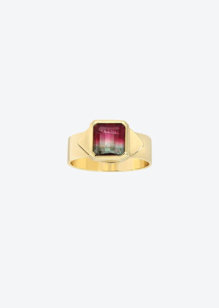 Eye Ring in Watermelon Tourmaline 14K