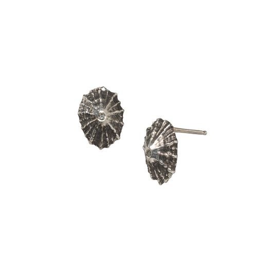 Limpet Studs