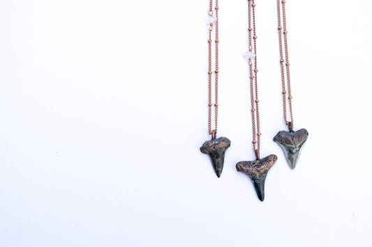 Shark's Tooth Pendant