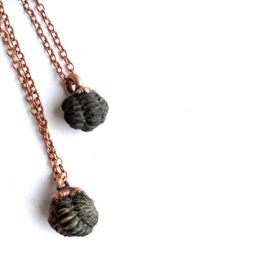 Trilobite Fossil Necklace