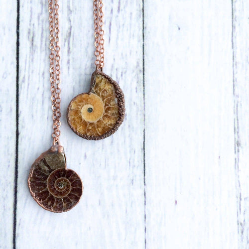 Madagascar Ammonite Necklace