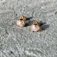 Load image into Gallery viewer, Mystical Studs-Pearl and Gold