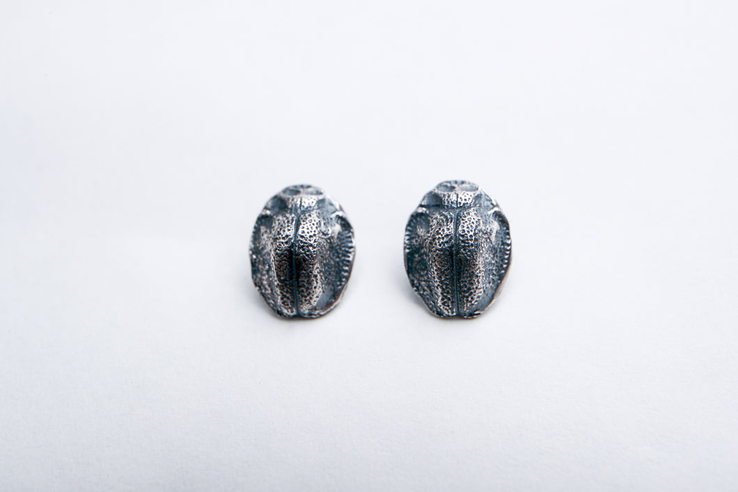 Silver Beetle stud earrings