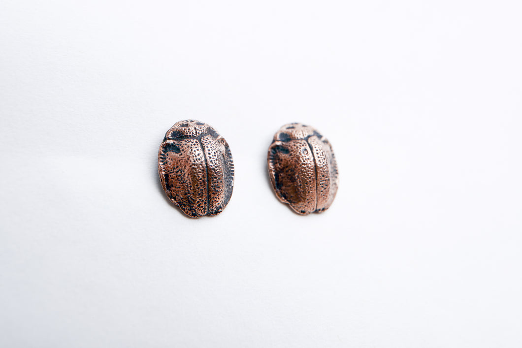 Bronze Beetle stud earrings