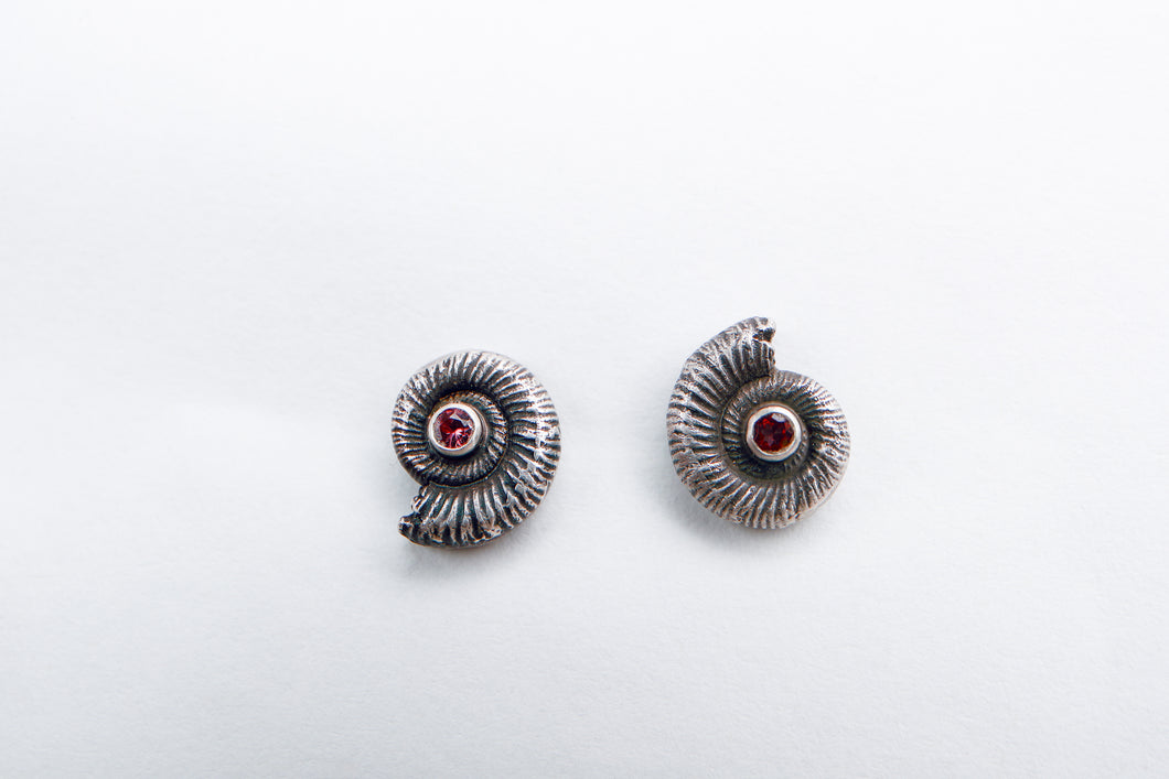 Larger Ammonite studs with sapphire