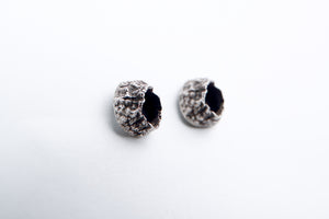 Silver Barnacle studs