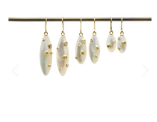 Load image into Gallery viewer, Mother of Pearl earrings with barnacles