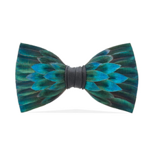 Load image into Gallery viewer, Chisolm Bow Tie