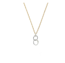 Load image into Gallery viewer, Small Sterling Organic Link Necklace with Gold fill Chain