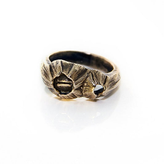 Double Barnacle Band- Bronze