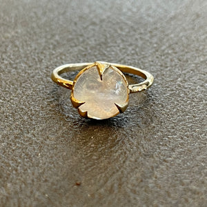 “Mystical Solitaire” moonstone and yellow gold