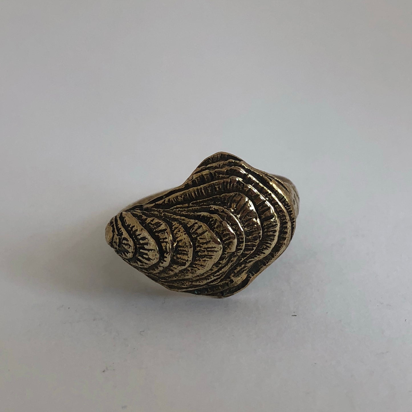 Oyster Ring- Bronze